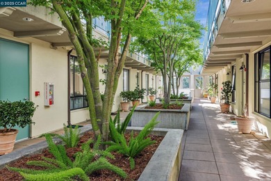 Modern Comfort in the Heart of Piedmont Avenue Welcome to Il