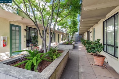 Modern Comfort in the Heart of Piedmont Avenue Welcome to Il