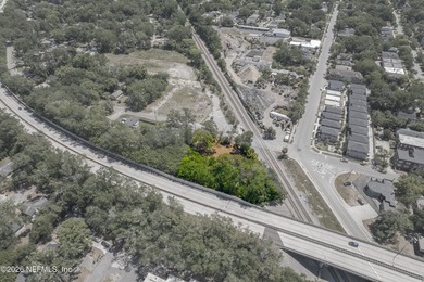 CCG-2 zoned commercial lot with extensive pre-development work - photo 8