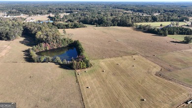 Lake Acreage For Sale in Brooks, Georgia