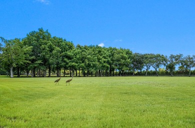 An extraordinary 14-acre estate, located within Wellington's - photo 8