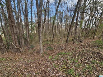 Beautiful 1.31+/- acre buildable lot in the highly desirable - photo 1