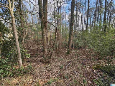 Beautiful 1.31+/- acre buildable lot in the highly desirable - photo 4