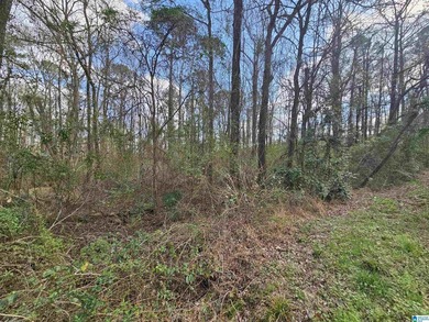 Beautiful 1.31+/- acre buildable lot in the highly desirable - photo 5