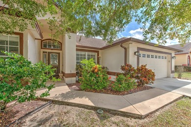 (private lake, pond, creek) Home For Sale in Lakeland Florida