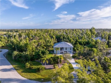 Lake Home For Sale in Other, Florida