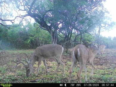 Lake Lot Sale Pending in Sandia, Texas