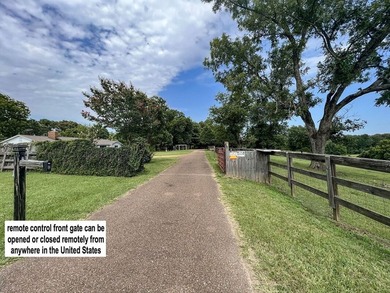 This property is on the south side of Batesville inside city - photo 22