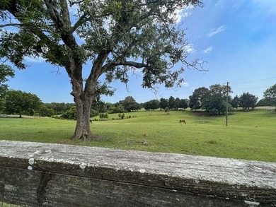 This property is on the south side of Batesville inside city - photo 26