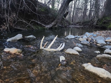 (private lake, pond, creek) Acreage For Sale in Union City Tennessee