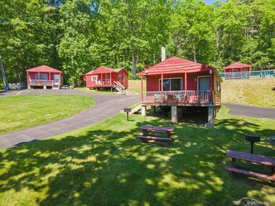 Investor Opportunity in Lake George. Just drastically reduced - photo 3
