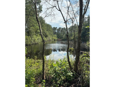 Lake Lot For Sale in Lakeland, Georgia