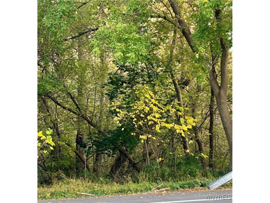 Lake Ontario - Niagara County Acreage For Sale in Wilson New York