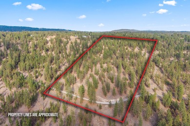 Lake Spokane / Long Lake Acreage For Sale in Nine Mile Falls Washington