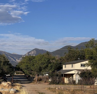 Situated 5 minutes from downtown Buena Vista, CO, this clean and - photo 37