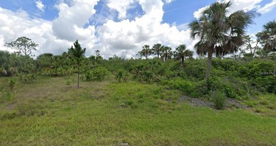Port Charlotte Waterway Area Lot For Sale in Port Charlotte Florida