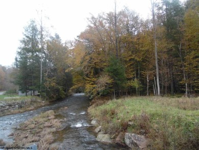Lake Lot For Sale in Helvetia, West Virginia