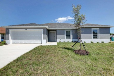 THE POPULAR BILTMORE MODEL BUILT BY AWARD WINNING SYNERGY HOMES - photo 1
