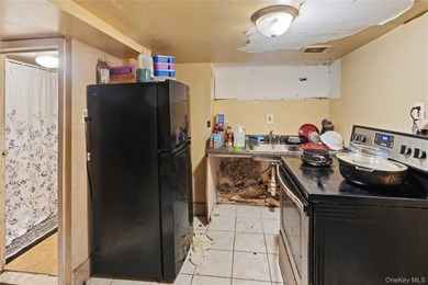 Welcome to 63 Norwood Ave, Brooklyn, NY 11208 - a - photo 12