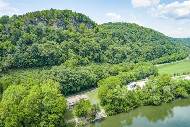 *Down by the lazy river* happily describes this riverside home - photo 5