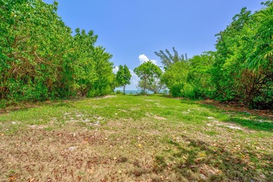 Live and/or work in this RARE 100' of waterfront re-development - photo 59