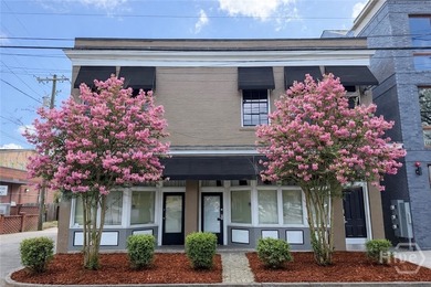 $130K+ Annual Income in Savannah's Historic District! This - photo 1