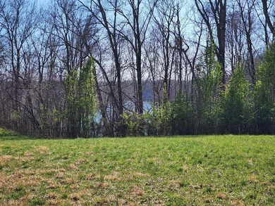 Build your dream home on this beautiful property in Stone Cliff - photo 3