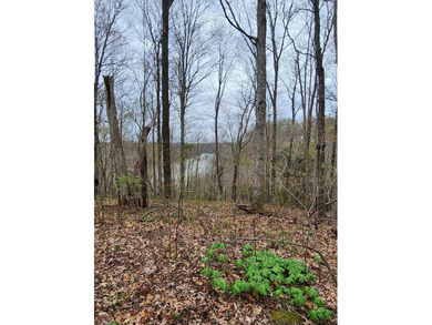 Build your dream home on this beautiful property in Stone Cliff - photo 4