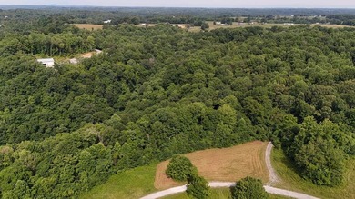 Build your dream home on this beautiful property in Stone Cliff - photo 8