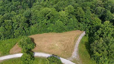 Build your dream home on this beautiful property in Stone Cliff - photo 10