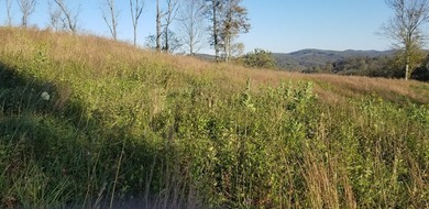 Come relax and unwind at beautiful Dale Hollow Lake! This - photo 8