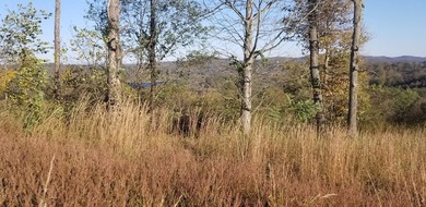 Come relax and unwind at beautiful Dale Hollow Lake! This - photo 9