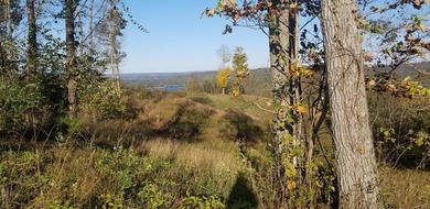 Come relax and unwind at beautiful Dale Hollow Lake! This - photo 10