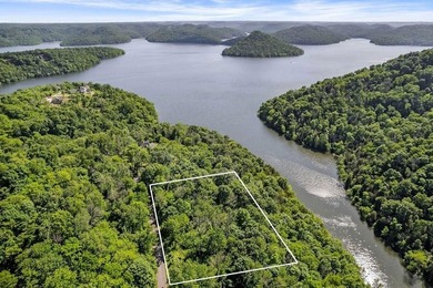 This lot is absolutely gorgeous! There are 2 Lots 37 and 38 are - photo 1