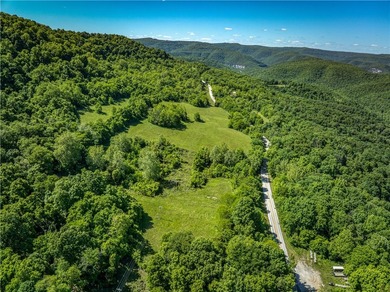32.22 acres in the heart of Ponca, just minutes from Steel Creek - photo 1