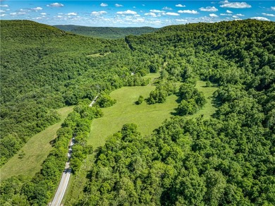 32.22 acres in the heart of Ponca, just minutes from Steel Creek - photo 7