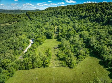 32.22 acres in the heart of Ponca, just minutes from Steel Creek - photo 9