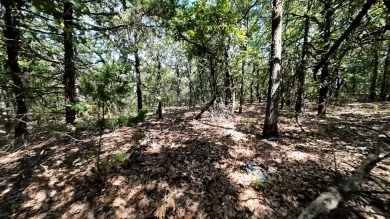 (private lake, pond, creek) Acreage For Sale in Sand Springs Oklahoma