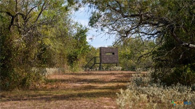314 +/- Acres in Gonzales County | Prime Hunting & Ranch - photo 11