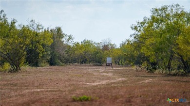 314 +/- Acres in Gonzales County | Prime Hunting & Ranch - photo 12