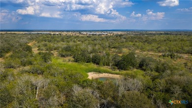 314 +/- Acres in Gonzales County | Prime Hunting & Ranch - photo 14