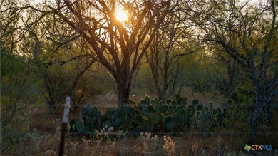 314 +/- Acres in Gonzales County | Prime Hunting & Ranch - photo 17