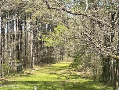 The drive down the long shaded drive leads you to this beautiful - photo 18