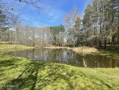 The drive down the long shaded drive leads you to this beautiful - photo 20