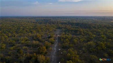 314 +/- Acres in Gonzales County | Prime Hunting & Ranch - photo 21