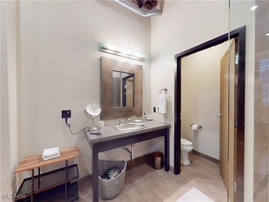 Experience Urban Sophistication in the Historic Erie Building! - photo 22