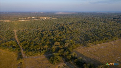 314 +/- Acres in Gonzales County | Prime Hunting & Ranch - photo 22