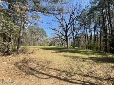The drive down the long shaded drive leads you to this beautiful - photo 24