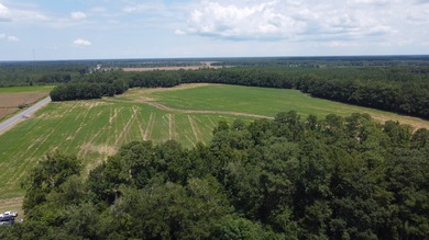 (private lake, pond, coastal) Acreage For Sale in New Zion South Carolina