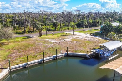 Unique opportunity to own a cleared .46-acre buildable DOUBLE - photo 7